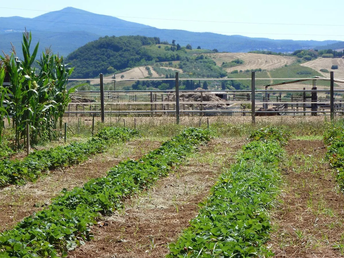 Agriturismo San Marco Hotel Rosignano Marittimo Italy