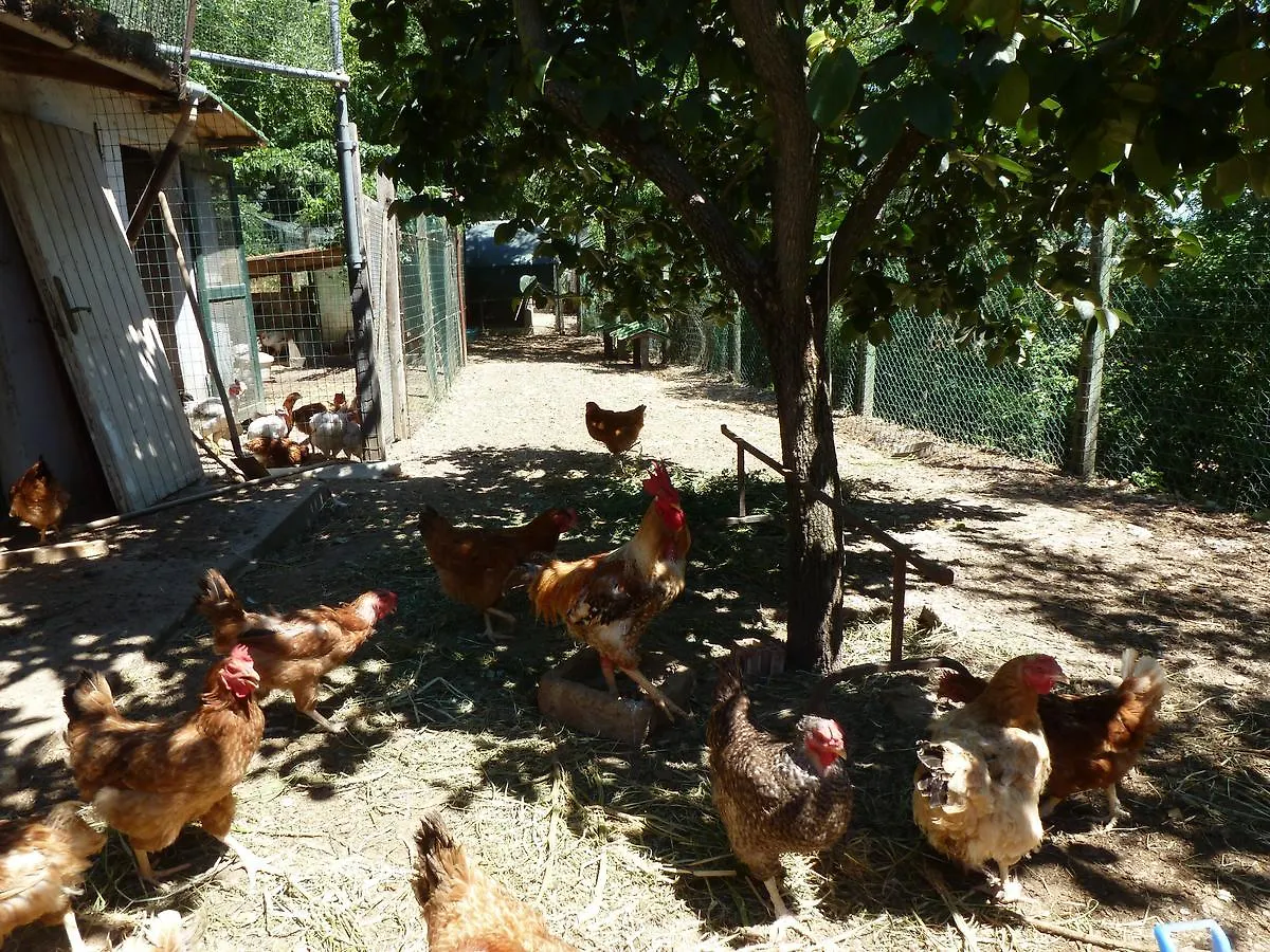 Agriturismo San Marco Hotel Rosignano Marittimo 0*,  Italy